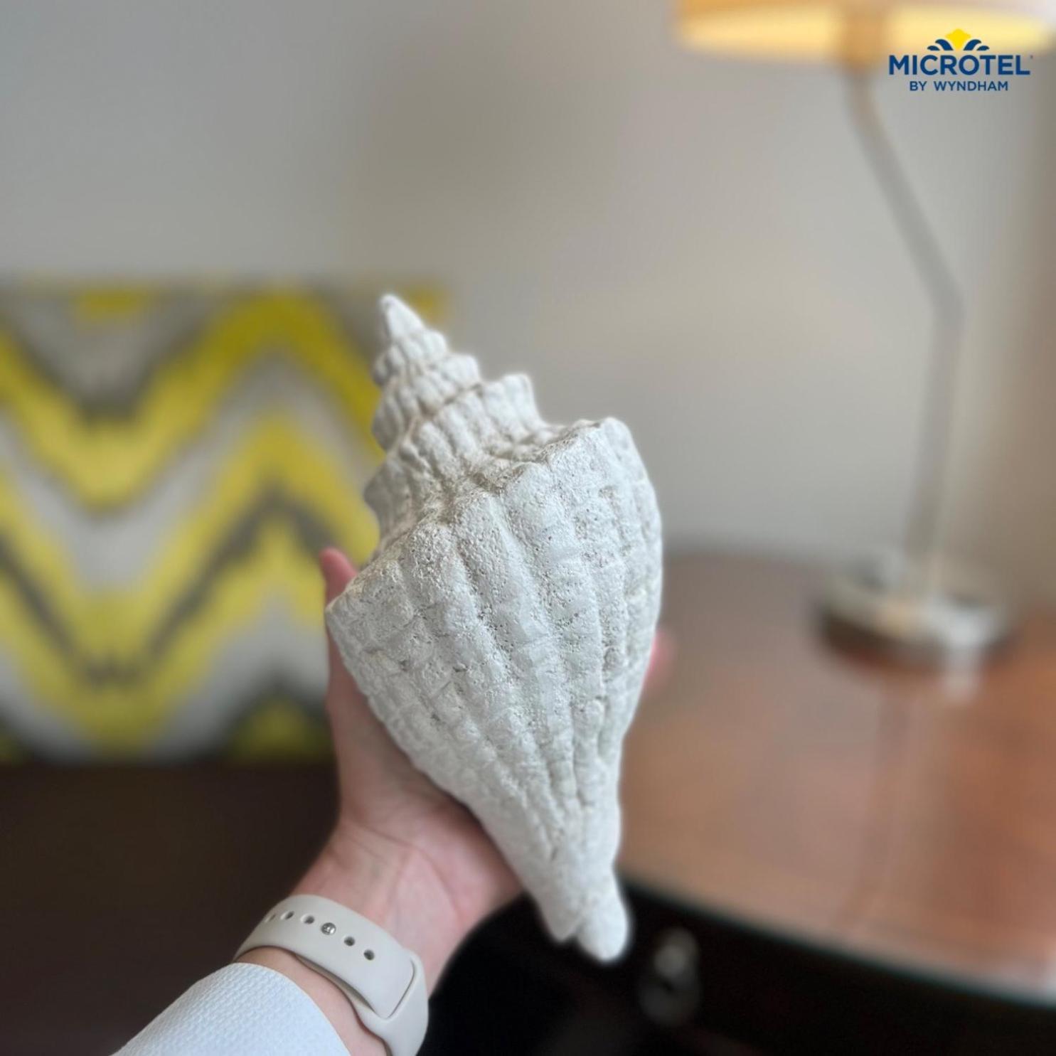 Microtel Inn & Suites By Wyndham Corpus Christi/Арансас Пас Екстериор снимка